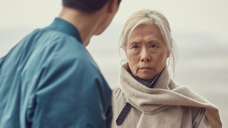 An Old Lady still 1