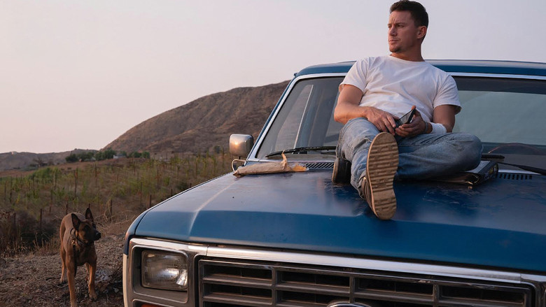 Dog still 5