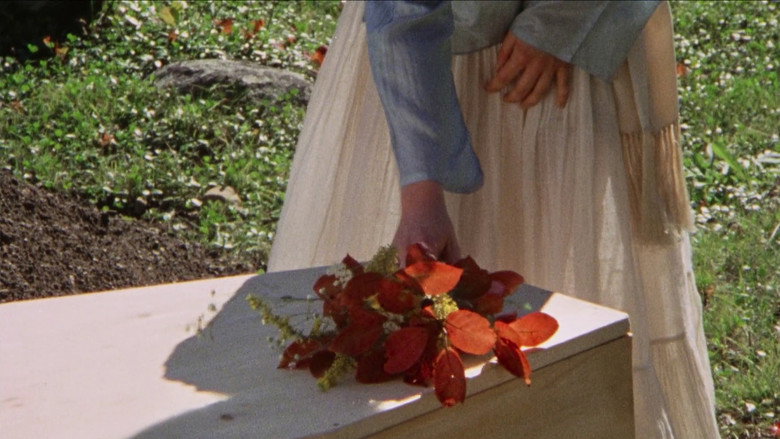 Pilgrim, Farewell still 5