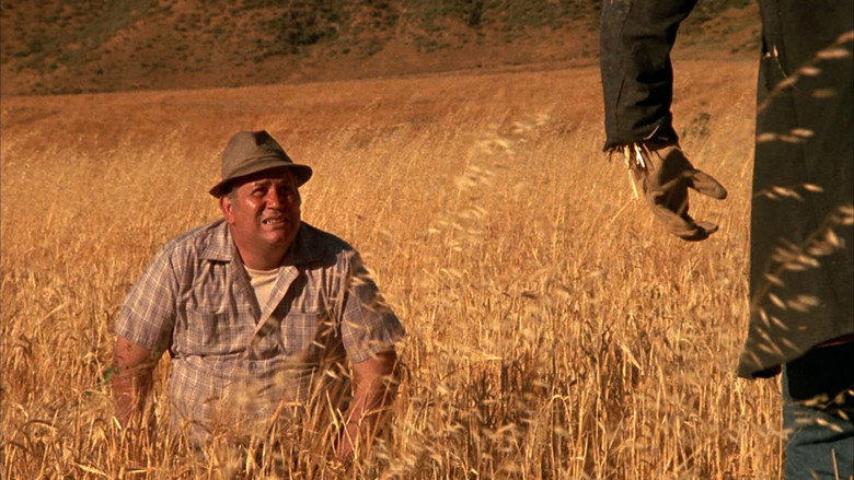 Dark Night of the Scarecrow still 4