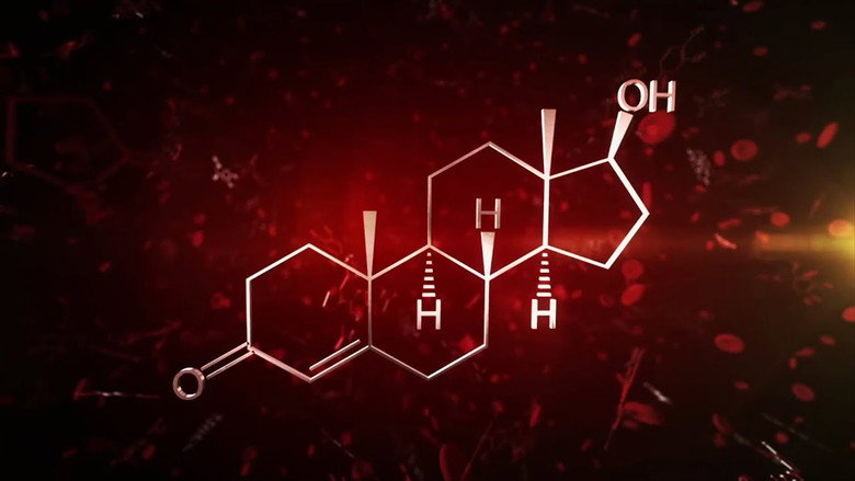 The Fantastical World of Hormones with Professor John Wass still 2