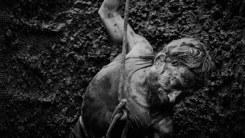 Poceiros still 2
