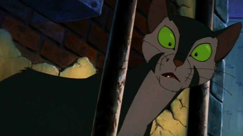 Felidae still 4