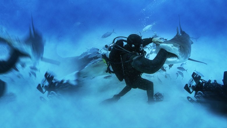Man vs. Shark still 1