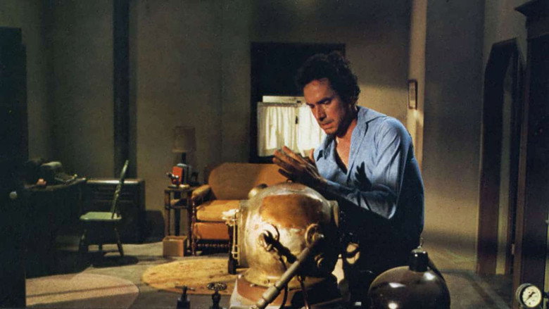 Bug still 3