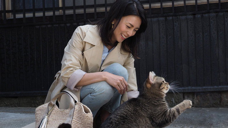 The Island of Cats still 5