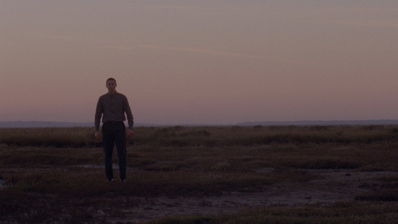 Possum still 6