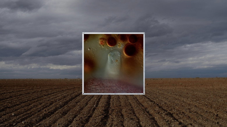 STRATA INCOGNITA still 5