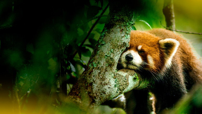 The Hidden Kingdoms of China still 4