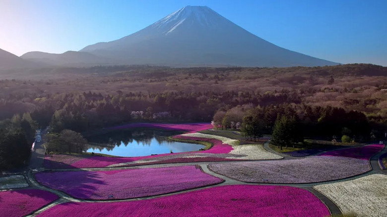 Japon, aux racines du soleil still 2