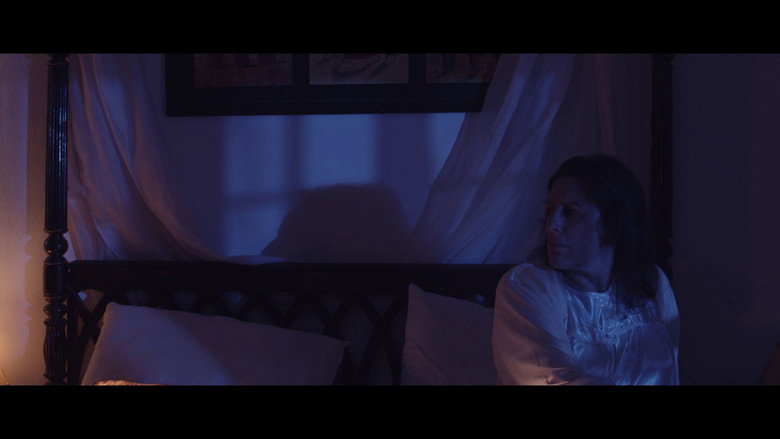 Ruidos still 1