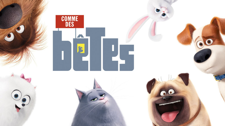 The Secret Life of Pets still 5