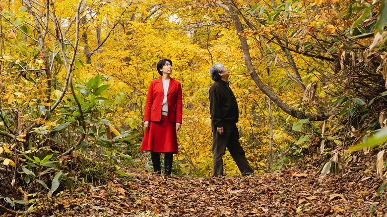 The Zen Diary still 5