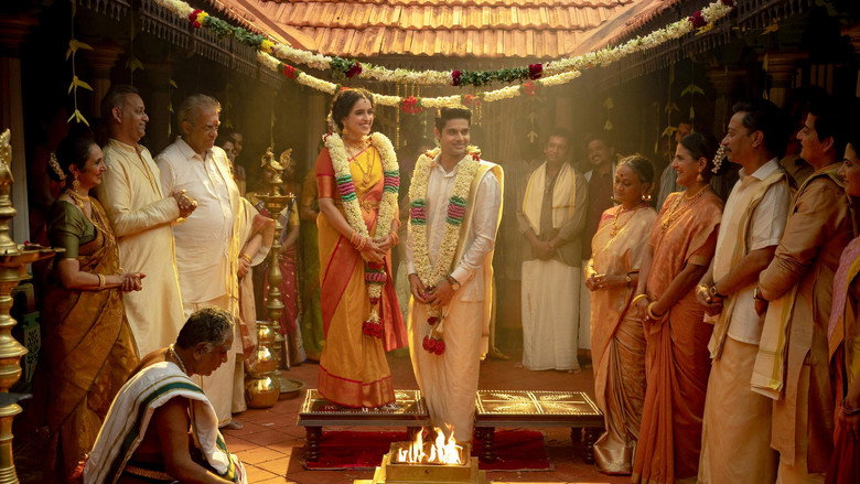 Meenakshi Sundareshwar still 8