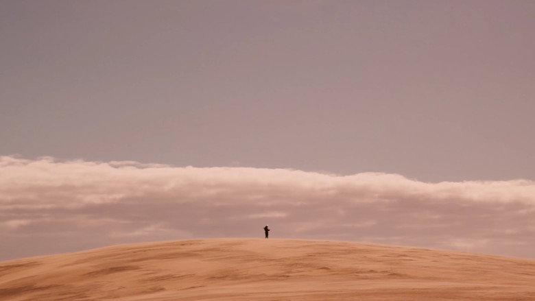 Gill still 3
