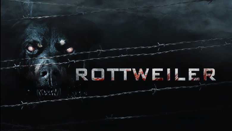 Rottweiler still 3