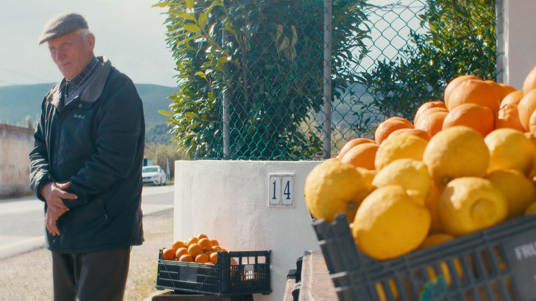 O Tempo De Comer Uma Laranja still 1