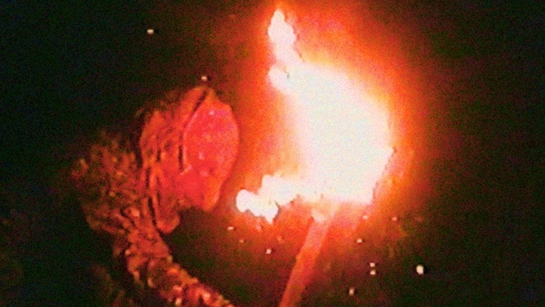 BUM still 4