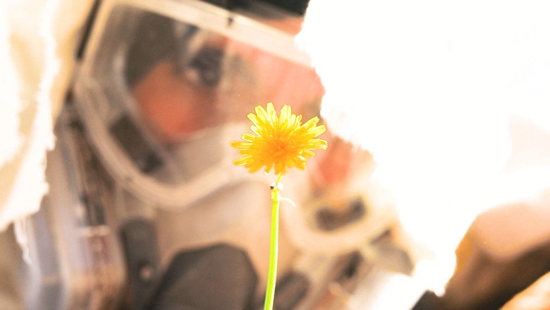 Bajo el Sol still 1