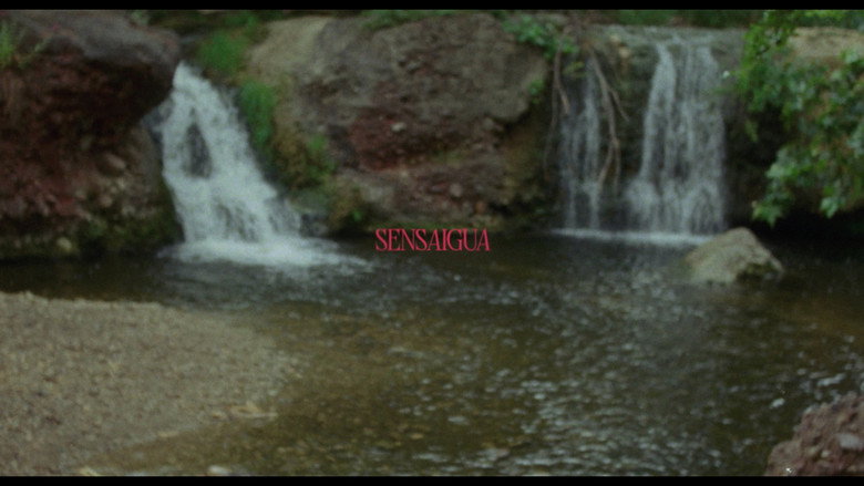 Sensaigua still 1