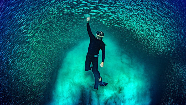 Ningaloo Nyinggulu still 1