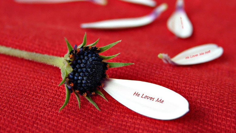 He Loves Me… He Loves Me Not still 5
