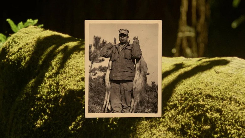 Buckskin still 2