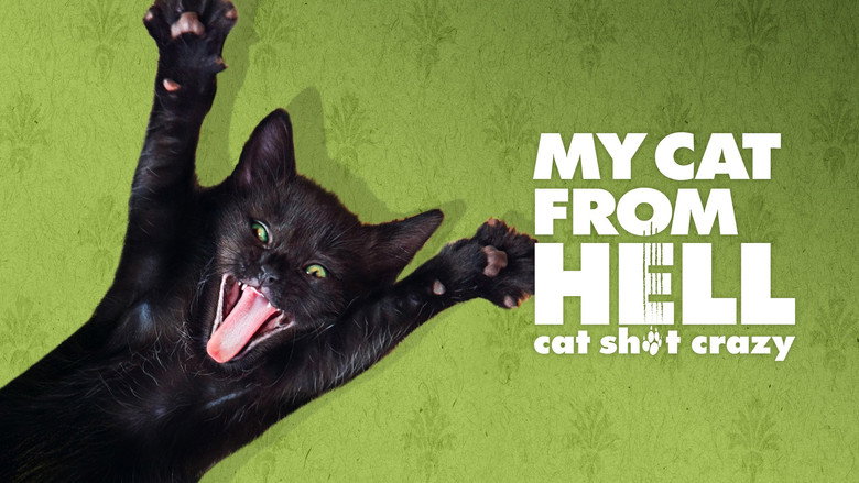 My Cat from Hell still 4