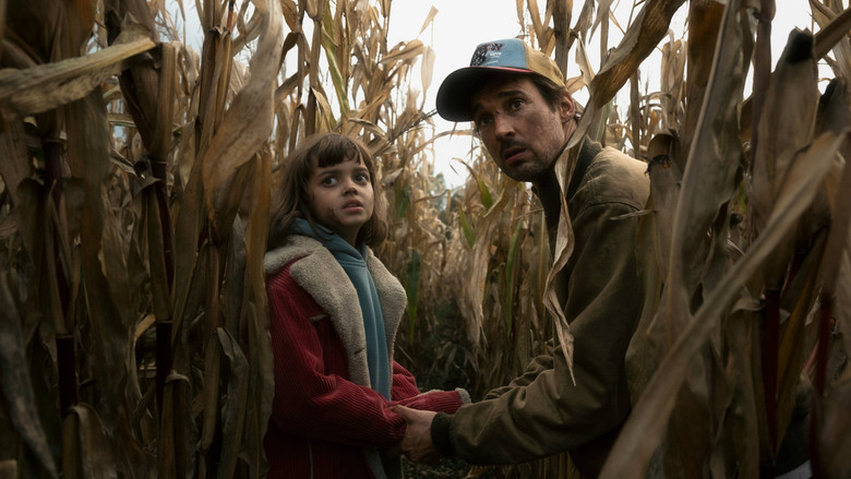 The Signal still 1