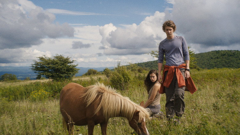 Maine still 2