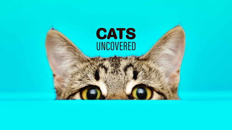 Cat Watch 2014: The New Horizon Experiment still 2