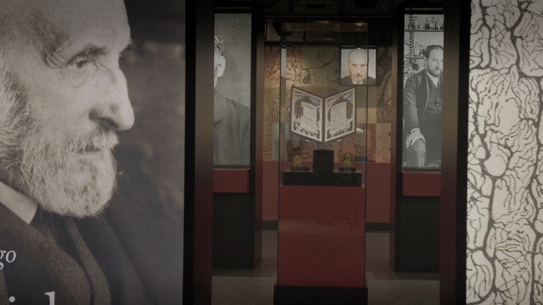 Ramón y Cajal: drawings on the retina still 2