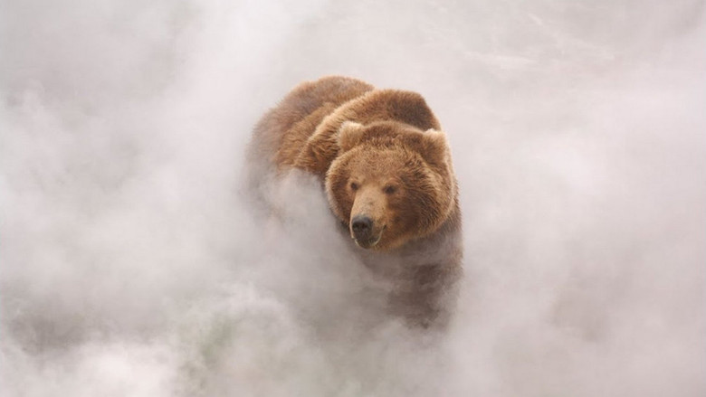 Land of the Bears still 2