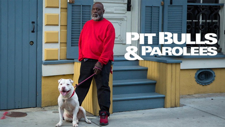 Pit Bulls and Parolees still 4