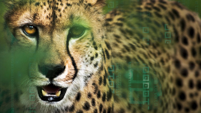 Hacking the Wild still 1
