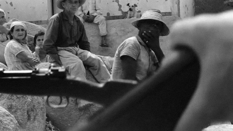 The Guns still 7