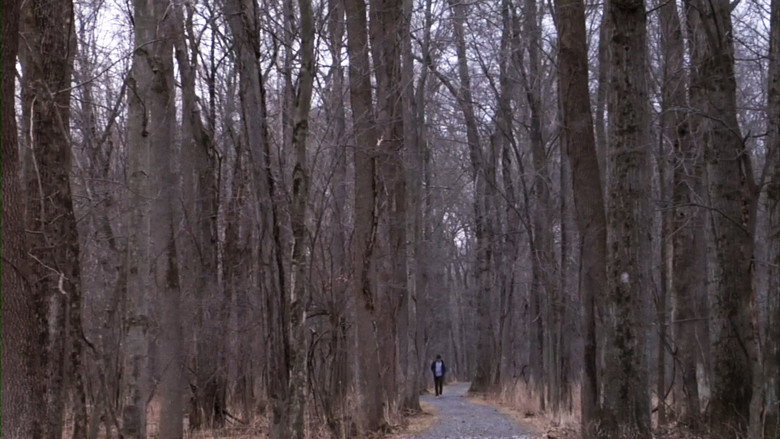 Feral still 2