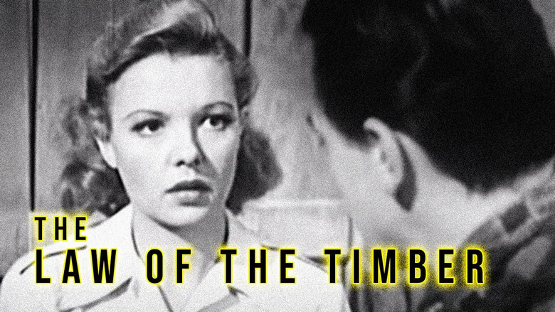 Law of the Timber still 1