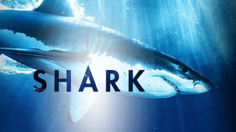 Shark still 5