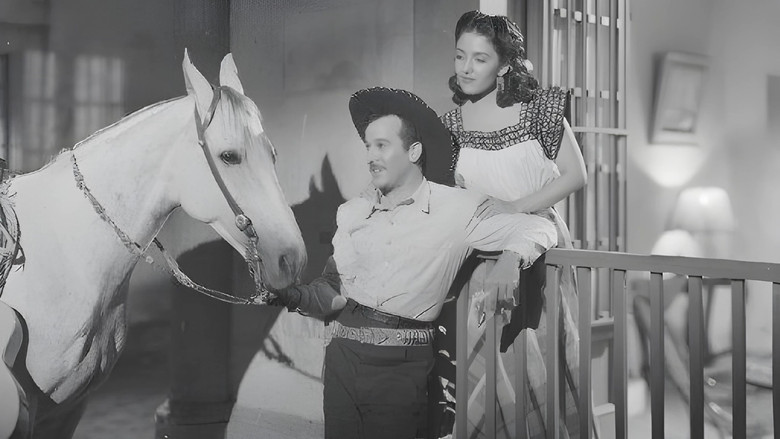 The Black Sheep still 2