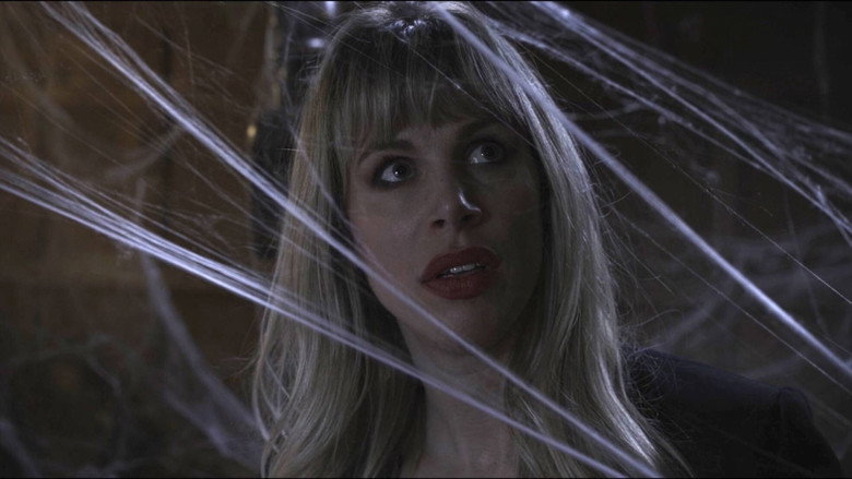 Spider in the Attic still 1