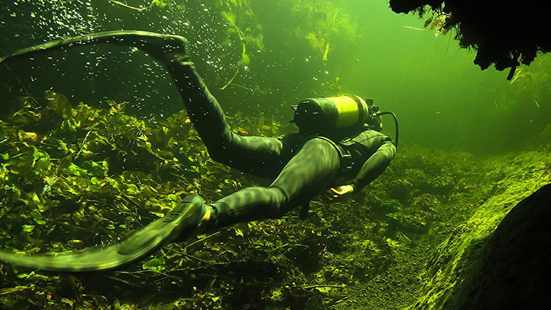 Underwater Okavango still 1