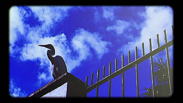 The Heron Girl still 1