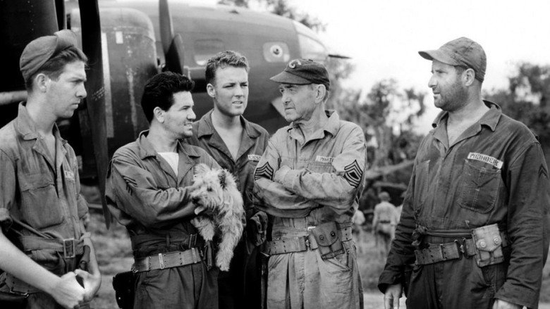Air Force still 2