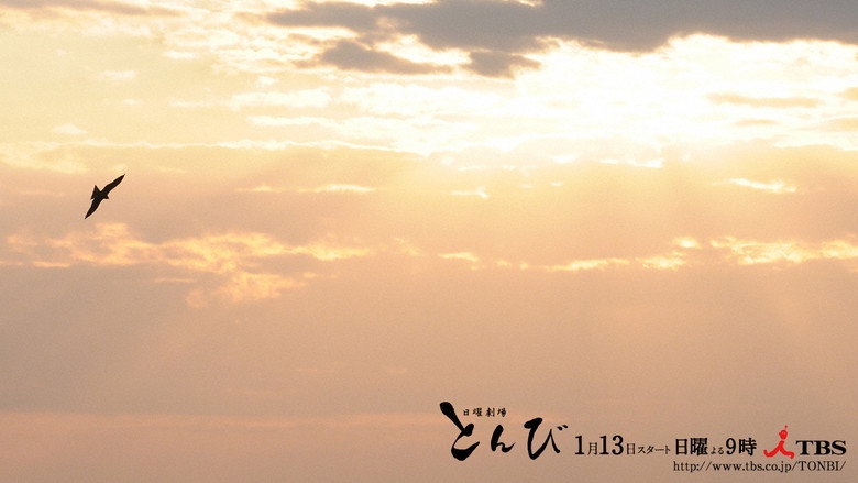 Black Kite still 1