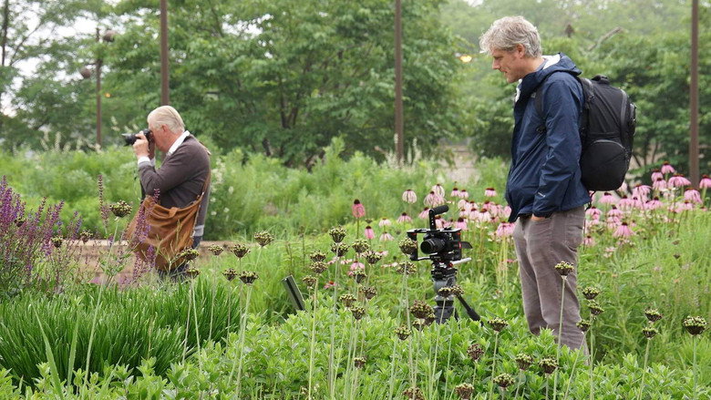 Five Seasons: The Gardens of Piet Oudolf still 7
