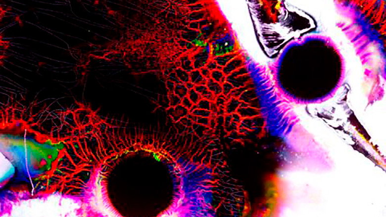 A Landscape to Be Invented still 3