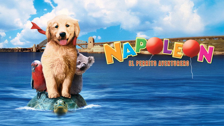 Napoleon still 8