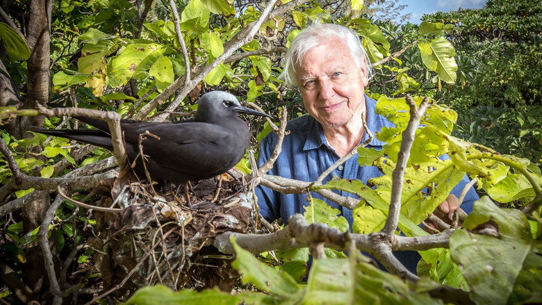 Great Barrier Reef with David Attenborough still 7