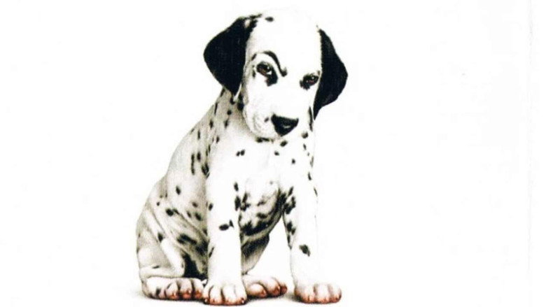 102 Dalmatians still 8